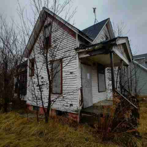 8031 conger (54).jpg